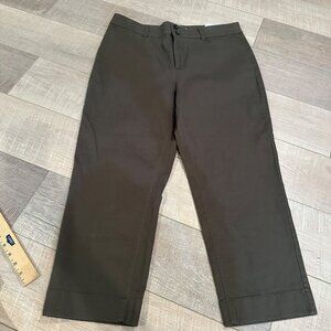 Loft Outlet Womens High-Rise Straight Leg Pants 14P Brown Cotton Blend